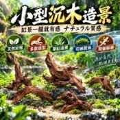 天然沉木造景 柚木杜鵑根 魚缸樹根擺件 烏龜曬台躲避屋 小魚缸拱橋造景 水族箱樹枝裝飾 微景觀空氣鳳梨擺件裝飾