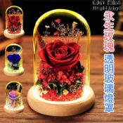（雲渡小鋪）LED暖光永生花玻璃罩禮盒 永生花小夜燈 玻璃罩 夜燈 真花 玫瑰 永生玫瑰玻璃罩 乾燥花 交換禮物 女友生日