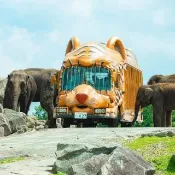 【喜鴻假期】★高雄出發．九州探險趣５日★潮風號火車、海之中道水族館、叢林巴士、一蘭之森拉麵