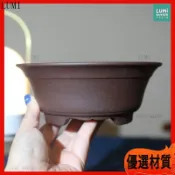 紫砂花盆 盆景盆 圓形 菖蒲盆 粗陶盆 陶瓷花盆 多肉盆栽 花器 桌面擺飾 日系 簡約 古風 盆器 園藝裝飾辦公室小盆栽