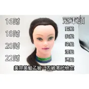 ＊德馨美容＊神奇 冠軍頭 16吋/18吋/20吋/22吋 考試人頭 優等髮 假人頭 頭皮 空頭 美容美髮乙級、丙級考試