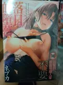 成人漫畫 C4102 落日的墮落 全新 新視界 H漫A漫
