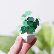 【紙植栽 DIY材料包 S】 銅錢草 | 9028402 紙風景
