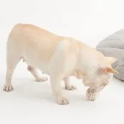 【MUJI 無印良品】寵物繩編玩具球