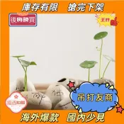 臺灣7H出！🚍 無負評好評單品迷你茶寵飾品擺件陶瓷裝飾藝擺品粗陶日式小花器萌物小石頭花插QRWL