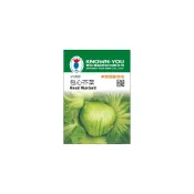(店+)(V-060)包心芥菜 蔬果 種子 小包裝 本包種子約300粒