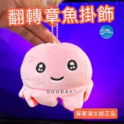 章魚娃娃 翻轉章魚 屏東海生館 XPARK 表情章魚 雙面章魚娃娃 海生館 生日禮物 聖誕節 兒童節 小孩禮物 療癒玩具