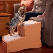【PET GEAR】易步二階樓梯-小 (PG-9710)