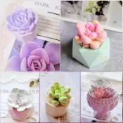 💗超療癒🌵多肉植物盆栽擴香石🪴石蓮花擴香石🍀居家/車用芳香 情人/交換/畢業/聖誕禮物