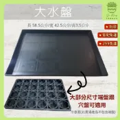 【欣榮園藝599免運】大水盤 58.5*42.5*3.5CM(大部分尺寸端盤&穴盤可適用) 接水盤 方型水盤 方型底盤