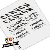 協貿國際日用品生活12館 canyon車架貼紙公路車山地車單車貼改色定制反光防水前叉涂裝蠶蛹