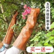 ✨新品促銷✨防刺手套修剪月季花椒三角梅園藝玫瑰花火龍果剝板栗子防扎手套厚 火龍果剝板栗子防扎手套厚