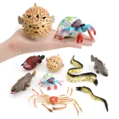 [現貨] 逼真的海洋生物公仔琵琶魚河豚魚鰻魚蜘蛛蟹模型