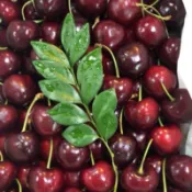 加州櫻桃🍒🍒🍒🍒原裝空運抵台、整箱5kg價格最優惠價～🇱🇷