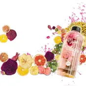 手工低溫烘製48hr花果乾/水果乾/水果水