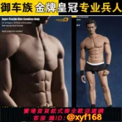 雲源優品 {保固一年 可打統編}現貨Phicen M33 TBLeague 1/6兵人偶 鋼骨繪畫人體包膠肌肉男素體