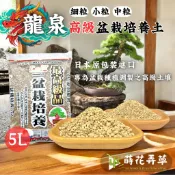 219起免運～龍泉高級盆栽種植土(5公升)日本進口 松樹 柏樹 梅樹 榆樹 竹子 木本 介質 三本縣赤玉土 栽培土