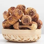 【蔘大王】蘑菇之王 姬松茸 膳食纖維 低膽固醇