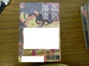 成人漫畫D ~ 姦熟蕩妻   (新視界出版)  全新庫存~可合併運費