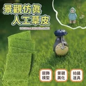 本原批發 景觀草皮👍仿真景 仿真 人工草皮 人造塑膠草皮 苔蘚 微景觀 庭院擺飾 娃娃機草皮 室內草皮 NF310