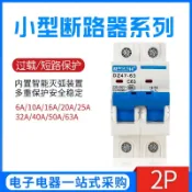 阿嫲的百寶屋 家用空氣開關DZ47-63小型斷路器 C45 2P 雙極6A-63A{鑫弘-工葉電器}可開發票