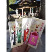 『蝦皮最優惠』追加困難 氣守 安產守 三峯神社 三峯信仰總本社 日本神社 御守