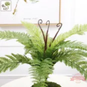 連盛 雪艷新款仿真植物綠植墻上裝飾花草婚慶花藝綠葉蕨類11片波斯草