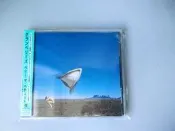 the Cranberries 卡百利/小紅莓樂隊