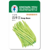 (店+)【天橙種子】四季豆種子 V-216 約20粒 蔬果種子 豆類 農友種苗 彩色原包裝