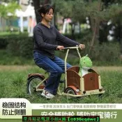 【現貨可開發票】雅士弟兒童青少年腳踏自行車寵物車親子戶外遛娃倒騎三輪車