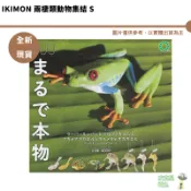 IKIMON NTC圖鑑 兩棲類動物集結 墨西哥鈍口螈 帶角樹蛙 鐘角蛙 紅眼樹蛙  青蛙 蠑螈 全八種 全新現貨