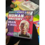 全新✨日本 HUMAN ANATOMY 3D DIY 心臟 頭骨 大腦 器官 解剖 模型 人體結構 STEM