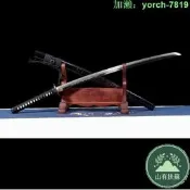 【桃園出龍泉劍武長居太肋差長劍katana未刃