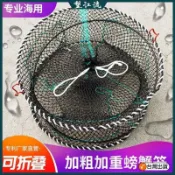 🎣折疊漁籠 蟹籠 鰻魚籠 蝦籠 彈力籠 鱸鰻籠 螃蟹籠海用捕蟹螃蟹籠加粗蟹籠捕蟹重型便攜螃蟹籠加粗折疊專用