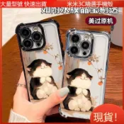 現貨 卡通可愛胖貓 防摔手機殼 適用 Realme 12 11 13+ 16 15T 15 14 14X 13 Pro