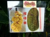 ╭＊田尾玫瑰園＊╯優良新興果苗--(榴槤蜜)--3年結果