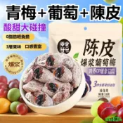 饞趣食品 爆漿陳皮葡萄梅 獨立小包夾心梅子 青梅陳皮葡萄 休閑零嘴 孕婦零食 酸甜蜜餞青梅子 梅乾 酸甜小包零食