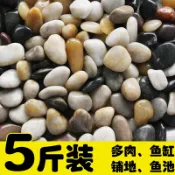 協貿國際日用品生活10館 石頭天然南京鵝卵石花盆園藝鵝卵石魚缸裝飾小石子庭院五彩