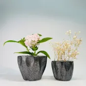 ✨ 北歐黑色霧面幾何點點波浪花盆｜多肉小品 盆景盆器 黑松真柏 羅漢松 蘭花虎尾蘭 園藝造景 台灣現貨