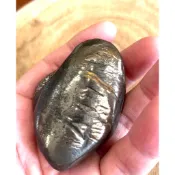 阿頑宅一起 龍紋石 寶石 天然礦石 原石 岩石 金 玉 石共體 金屬感 金龍 擺件 手拿石 台灣獨有 銅礦物 石頭