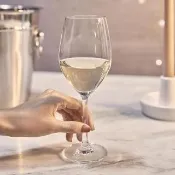 【Ocean】白酒杯 6入組 340cc Sante系列(白酒杯)