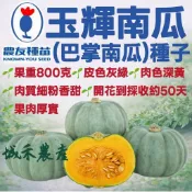 城禾農產🍃 農友玉輝南瓜種子 10粒 玉輝南瓜種子 農友南瓜種子 農友栗子南瓜種子 栗子南瓜種子 灰南瓜種子 南瓜種子