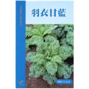 【野菜部屋~】E50 羽衣甘藍種子0.7公克(約250粒) 風味濃 採收期長~