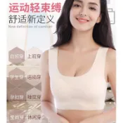 ✨高品質·現貨✨超大尺碼日本無鋼圈運動內衣 M-6XL 無鋼圈 集中爆乳防震 冰絲 無痕 無鋼圈 薄款 睡眠舒適 運動 