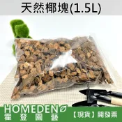 (店+)天然椰塊 1.5L 椰糠 椰殼 椰纖 椰磚 觀葉植物介質 雨林植物介質 龜背芋介質【HOMEDEN霍登園藝】