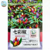 【原廠包裝】七彩椒種子（Rainbow Pepper） 可食用 觀賞辣椒 五彩椒 室內盆栽 水果椒 觀賞食用兩用