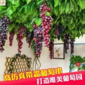 🌷臺灣熱銷🌷仿真水果葡萄串塑料提子假水果模型擺件室內吊頂裝飾櫥窗道具掛件