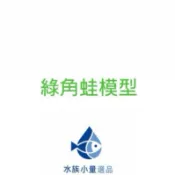 優質  綠角蛙  模型
