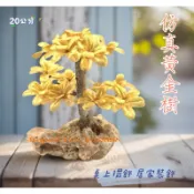 人造樹 盆景 招財樹 搖錢樹 金錢樹 發財樹 黃金樹 塑膠樹 假樹 石頭 咕咾石冷台 赤身冷盤裝飾 造景 居家擺設