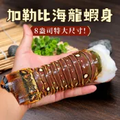【全聯線上購】【築地一番鮮】8盎司-龍蝦身 2尾(220g/尾)/去頭殼薄(生凍)龍蝦尾(220g/尾)